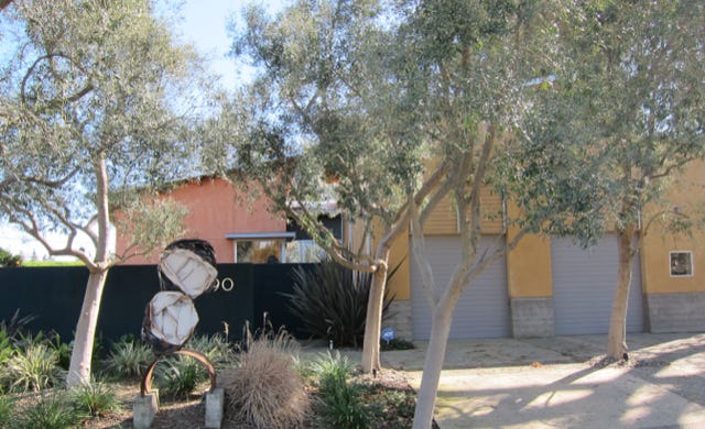 contemporary residence under a small group of olive trees